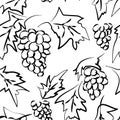 Abstract bunch of grapes with leaves on a white background. Bunch of grapes with leaves are drawn in a sketch style.