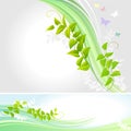 Abstract Butterflies And a Creeper - Vector