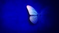 Abstract Butterfly On A Blue Background