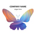 Abstract butterfly vector in the colors of the rainbow, sky, and dawn. Colorful creative logo, emblem, sign. Royalty Free Stock Photo