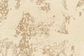 Abstract canvas light beige. Grunge texture background