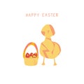 Abstract card with chicken on a white background, basket with eggs for Easter Royalty Free Stock Photo