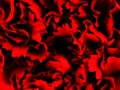 Abstract carnation flower