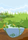 Abstract cartoon landscape withAbstract cartoon landscape with split level freshwater pond.