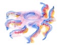 Soft rounded translucent watercolor-blue octopus with solar tentacles Royalty Free Stock Photo