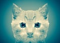 Abstract cat face blue low poly bokeh wallpaper