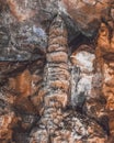 Cave in Goias, Brazil