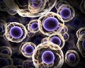 Abstract cells in mitosis purple Royalty Free Stock Photo