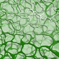 Abstract cellular