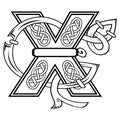 Abstract celtic letter X illustration