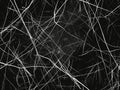 Abstract Chaos of White Lines on Black Background Royalty Free Stock Photo
