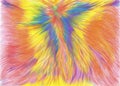 Abstract cheerful rainbow painting, phoenix, riot of flowers, rainbow, fantastic colors