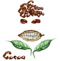 Abstract cheerful smiling face. Cocoa pod, beans and leaves like hands on white background. Hand drawn watercolor