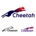 Abstract cheetah icon