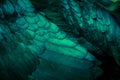 Abstract of Chicken feather turquoise color as the background.