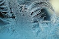 Abstract Christmas background. Ice crystals on frozen window glass. Frost drawing. Dark blue tinted wallpaper similar to moonlit