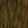 Abstract Christmas golden background. Shiny background, glitter gold texture for Xmas, birthdays. Glitter lights Royalty Free Stock Photo