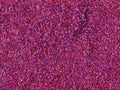 Abstract Christmas pink and purple glitter texture