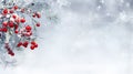 Abstract Christmas snowy background with frosty bright red holly berries, light blue winter background Royalty Free Stock Photo