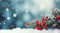 Abstract Christmas snowy background with frosty bright red holly berries. Light blue winter festive background with bokeh Royalty Free Stock Photo