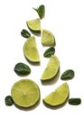 Abstract Christmas tree made of lime slices and fresh mint on a white background. The view from the top Royalty Free Stock Photo