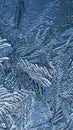 Abstract Christmas vertical background. Ice crystals on frozen window glass. Frost drawing. Winter pattern of magical plant. Blue Royalty Free Stock Photo