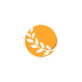 Abstract circle orange color logo, branch with leaves, round wheat icon. Round shape logotype.