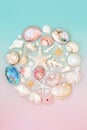 Abstract Circle of Sea Shells Nature Composition Royalty Free Stock Photo