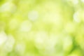 Abstract circular green bokeh background