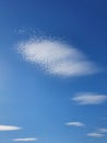 Abstract cirrus clouds on the blue sky background. Beautiful cloudscape scene Royalty Free Stock Photo