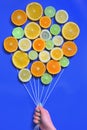 Abstract Citrus fruits bouquet Royalty Free Stock Photo