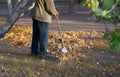 Abstract cleaning swimming pond in the park from fallen leaves with skimmer, autumn, job in the city outdoors Royalty Free Stock Photo