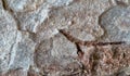 Abstract close-up of a brown crust with fissures and white coating, as background, pattern or texture Royalty Free Stock Photo