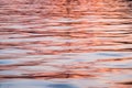 An abstract close up of the colourful blue, pink and orange water ripples on the ocean surface at sunse Royalty Free Stock Photo