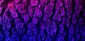 Abstract closeup of a blue and purple tree bark texture background Royalty Free Stock Photo