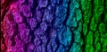 Abstract closeup of a colorful tree bark texture background