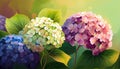 Beautiful hydrangea bouquet isolated on multicolor blur bokeh background. Spring floral composition. Generated AI