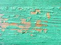 Abstract closeup on green backdrop. Old vintage wood texture background