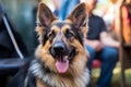 abstract closeup illustration of German Shepherd muzzle and veterinary clinic Royalty Free Stock Photo