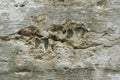 Abstract Closeup Of Old Broken Concrete Floor Texture