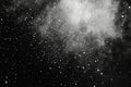 Abstract cloud of white particles bursting and scattering against a dark void Royalty Free Stock Photo
