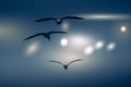 The abstract color background of group seagull flying