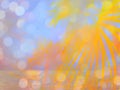 Abstract color background. Palm casting on a background of sea sunset Royalty Free Stock Photo