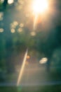 Abstract color blurred background sun light Royalty Free Stock Photo