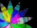 Abstract color flover on black background. Vector illustration.