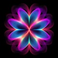 Abstract Color Graphic Flower On Black Background