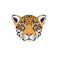 Abstract color jaguar head. Royalty Free Stock Photo