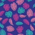 Abstract color monstera seamless pattern blue background