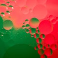 Abstract color oil drops Royalty Free Stock Photo