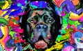 Abstract colored dog muzzle isolated with headphone on colorful background color art